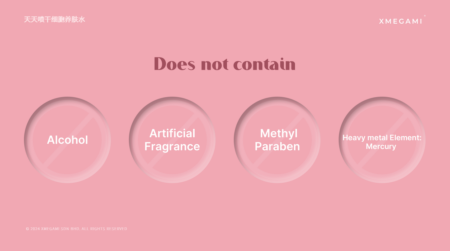 MICAREE Stemcell Revive Toning Lotion | 干细胞养肤水
