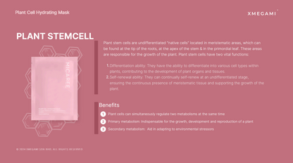 MICAREE OT Cream Skin Treatment ｜养白霜