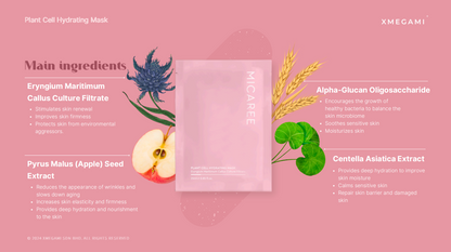 MICAREE Plant Cell Hydrating Mask 25ml｜植物细胞补水面膜