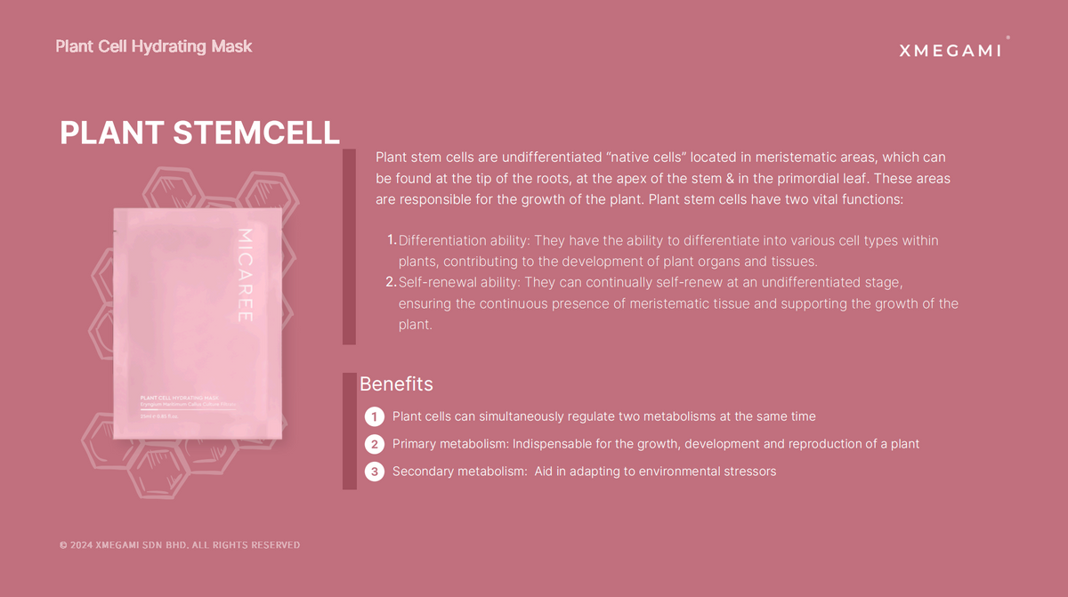 MICAREE Plant Cell Hydrating Mask 25ml｜植物细胞补水面膜