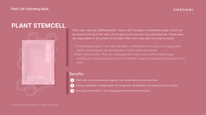MICAREE Plant Cell Hydrating Mask 25ml｜植物细胞补水面膜